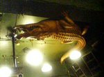20070428153451.jpg
